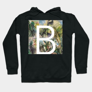 Letter B alphabet Hoodie